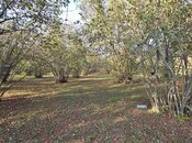 Продаётся  участок 31 сот, photo 6 from 6