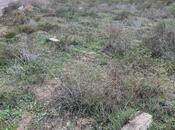 Satılır  torpaq 10 sot, Dübəndi q., photo 2 from 4