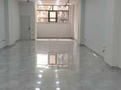 Сдается  объект 100 м², м. Низами, photo 3 from 4